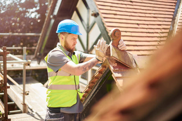 Best Roof Gutter Cleaning  in Port Monmouth, NJ